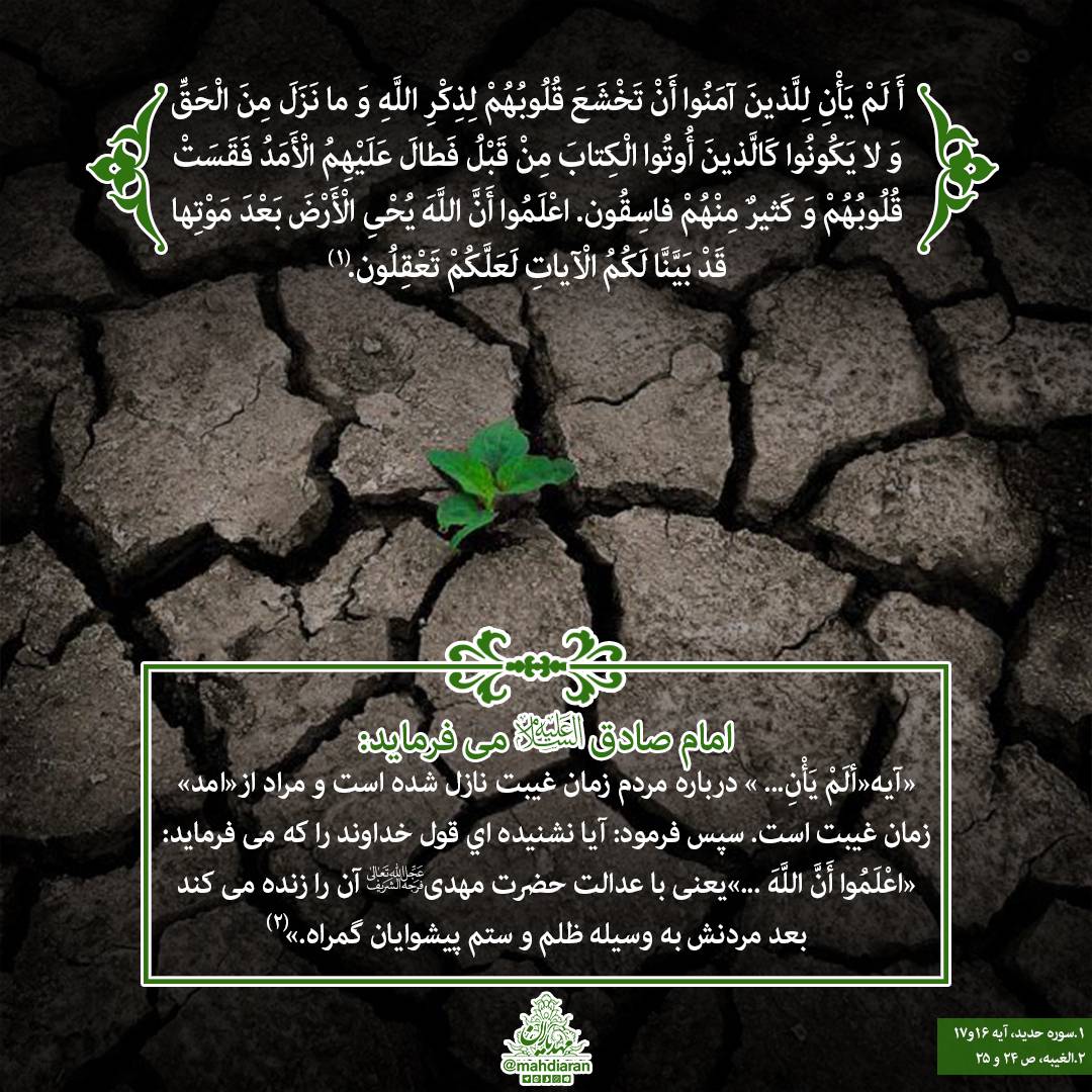 منتظرانی که مردود شدند